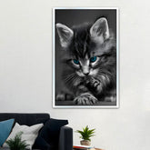 Beautiful Blue Eyed Baby Cat Home Office Decorative Canvas Wall Paintings