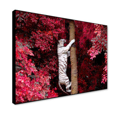 Beautiful White Tiger Realistic Wild Animal Painting