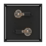 2 Bulb Steel Ceiling Light With Black Clear Glass