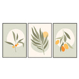 Exotic Flora Green Frames Set Of 3
