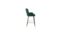 Beautiful Green Color Nolen Bar Stool