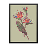 Coral Splash Fine Wall Art Framed Painting/Poster for Home and Office Décor