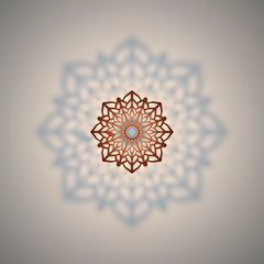 Flower Ceiling Shadow Light