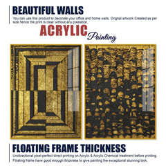Golden Abstract Artistic Shapes Art Acrylic Floating Wall Painting Set of 2